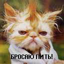 Амбра